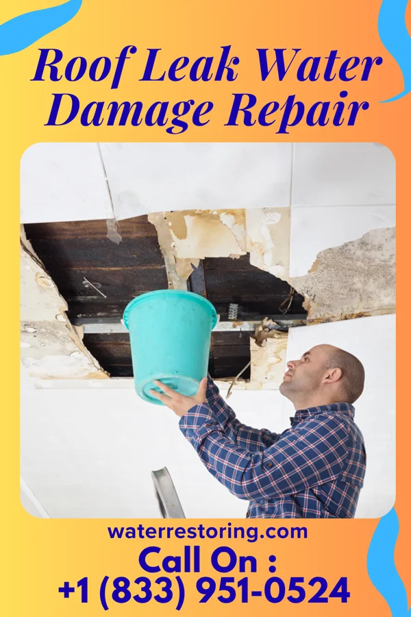 Roof Leak Water Damage Repair in Dannebrog, NE